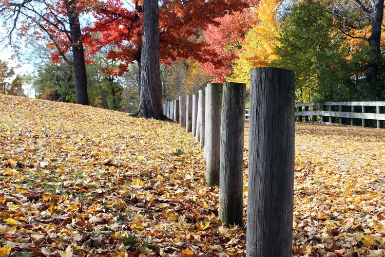 Shorewood Hills Homes for Sale and Realtors